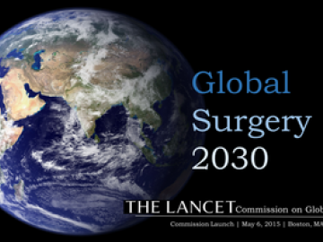 Global Surgery 2030 logo