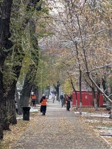 People walking under trees in an urban setting