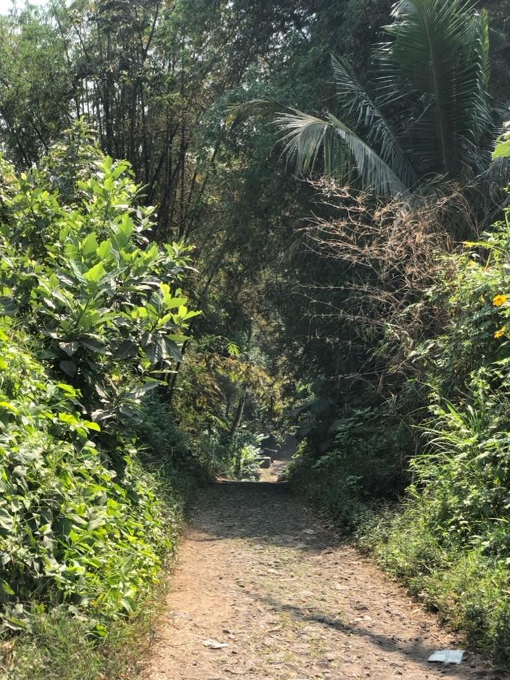 Sari What it takes to get there