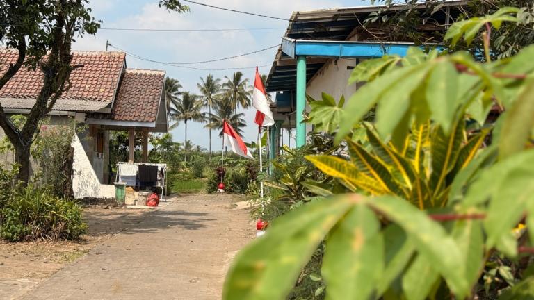 Indonesia dirt road, buildings and trees