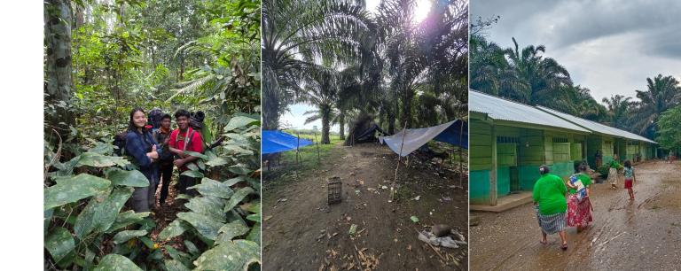Indonesian forest and clinic