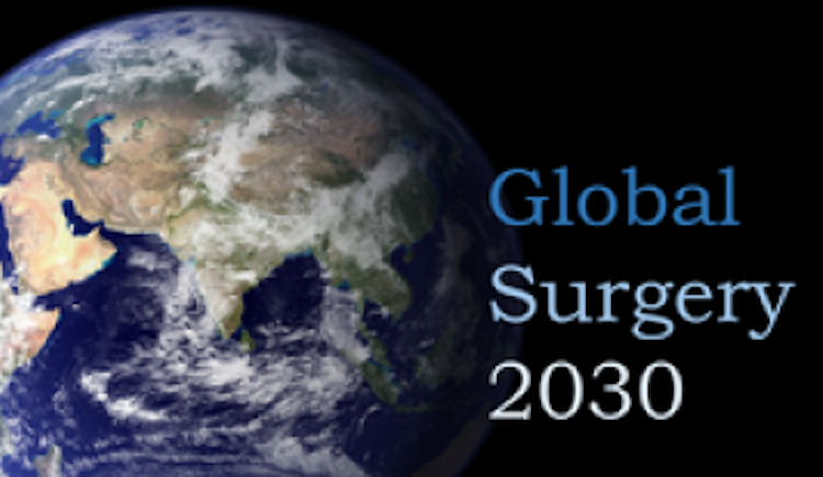 Global Surgery 2030 logo